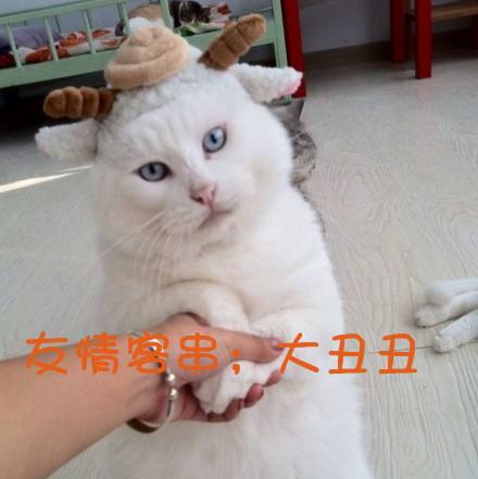 �����вȵ���ʺ�ò��� �ȵ���ʺ��Ь�ӻ�Ҫ��