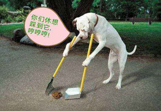 无意中踩到狗屎好不好 踩到狗屎的鞋子还要吗