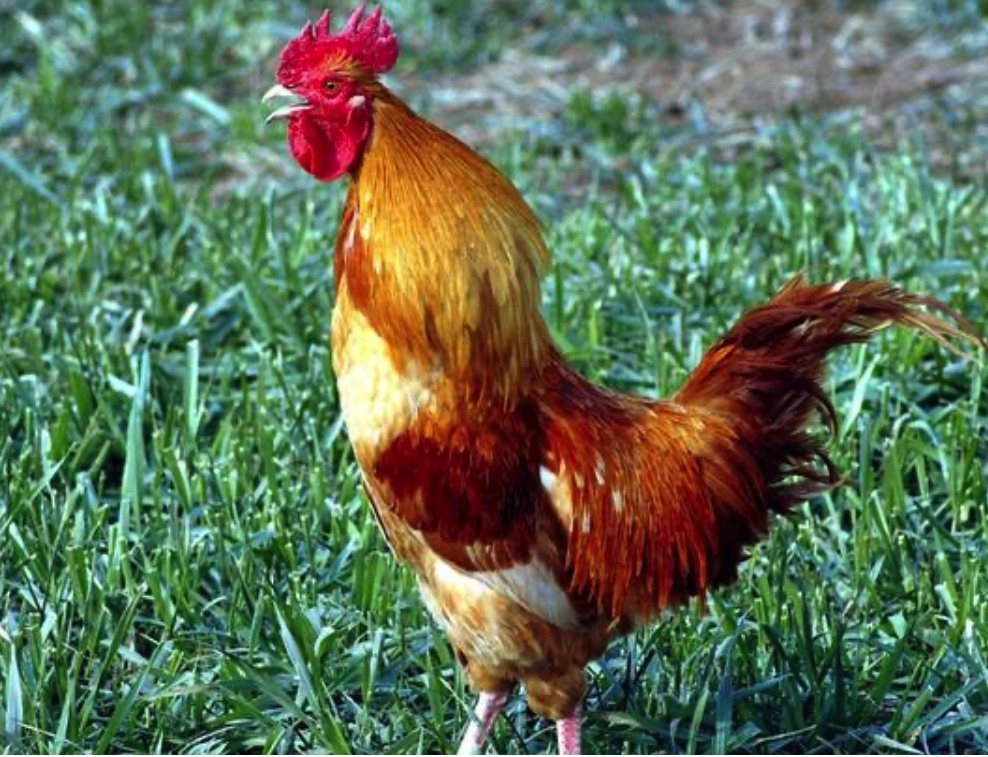 ��˵����Ϊʲô������̫�� ������ҹ��������ô����