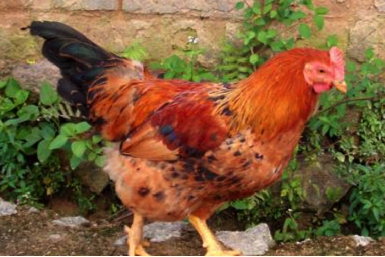 ��˵����Ϊʲô������̫�� ������ҹ��������ô����