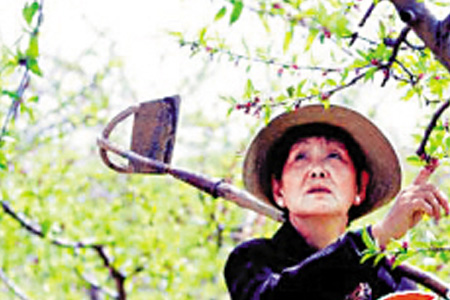 ��ʤ������ʱ����Ƭ ��ʤ�����ں�������ҵ��