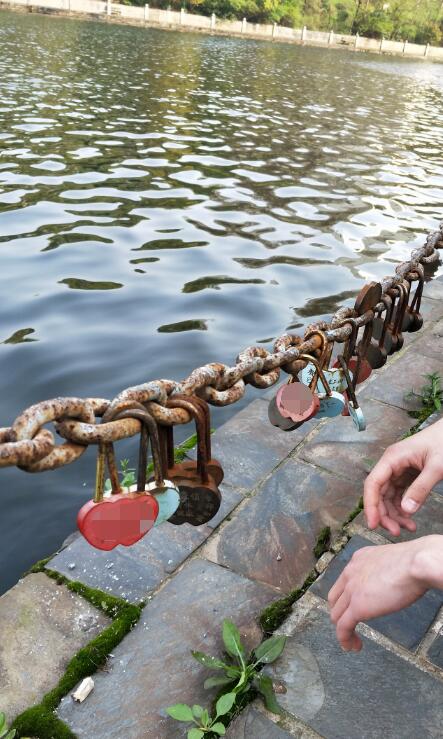 ������������ʲô��˼ ��������ʷ���