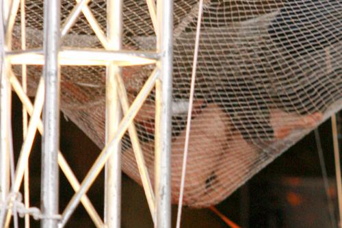 ֣ϣ���������¼�ͼƬ ֣ϣ����֣������ʲô��ϵ