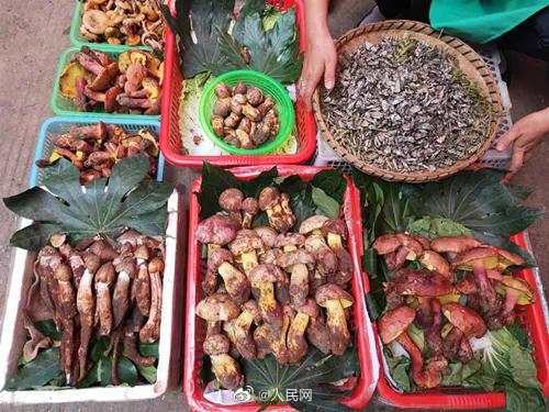 Ұ�������ܺ�ʲôһ��� ��������300��ʳ��Ұ�����ж��¼�