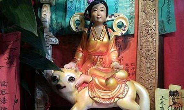 ���ɹ�ͨ���� ��ô���ɼ�����˵��