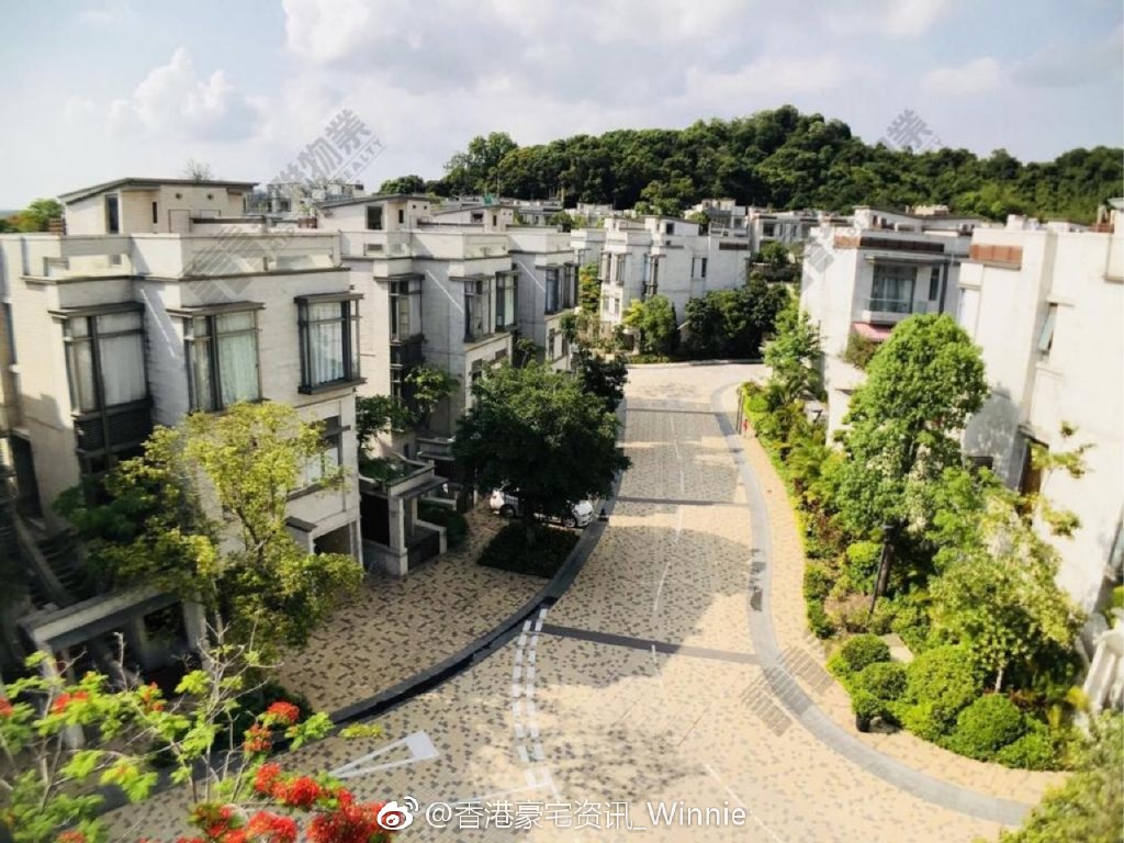 ����ϵȼ�ͥ�ķ���ɶ���� 1�����������ʲô����