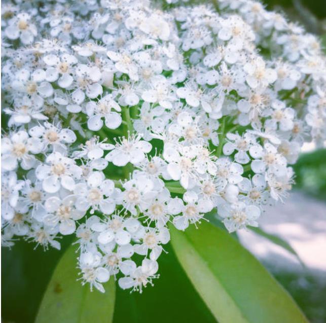 男女之间JY是什么意思 女生不喜欢jy是什么意思