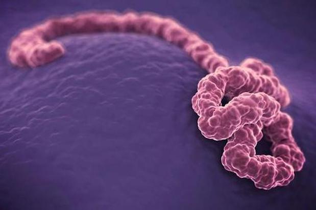 ������������ô��ʧ�� ���ֲ�����������ǰһ������ӳ��ֲ�