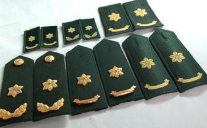 ��ά����ʲô���μ��� ����ʲô����������������