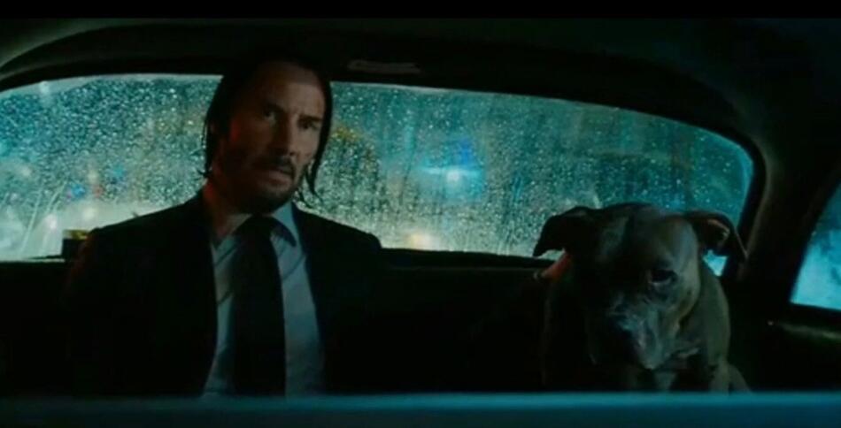 ��Ŭ��ά˹�Ĺ���ʲô�� Ϊʲô��������Ŭ��ά˹�Ĺ�