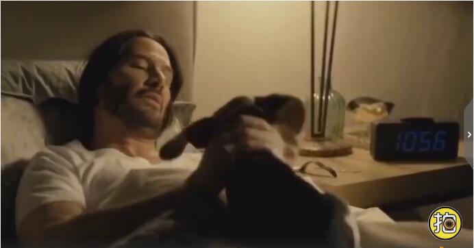 ��Ŭ��ά˹�Ĺ���ʲô�� Ϊʲô��������Ŭ��ά˹�Ĺ�