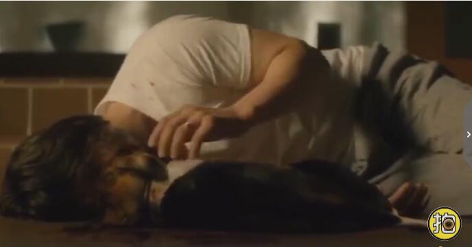 ��Ŭ��ά˹�Ĺ���ʲô�� Ϊʲô��������Ŭ��ά˹�Ĺ�