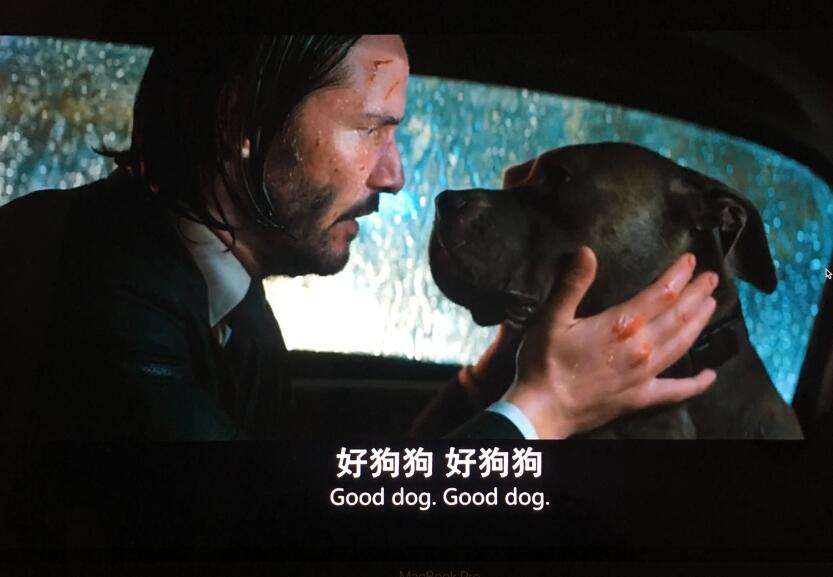 ��Ŭ��ά˹�Ĺ���ʲô�� Ϊʲô��������Ŭ��ά˹�Ĺ�