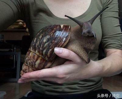 ���޴���ţ�����˳��� ��������ô�����й���