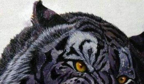 ������������� �������Ͷ�������һ��������