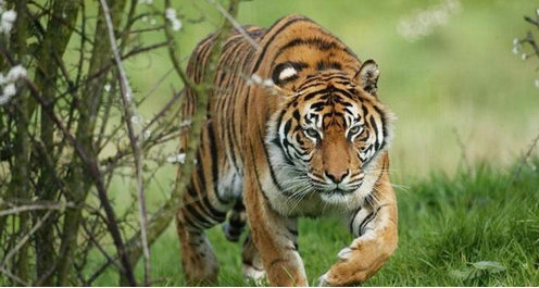 ������������� �������Ͷ�������һ��������