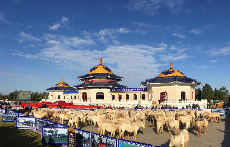 �ɹ����ǲ��Ƕ��к��� �ɹ��˺�������Ϊ���˻�����