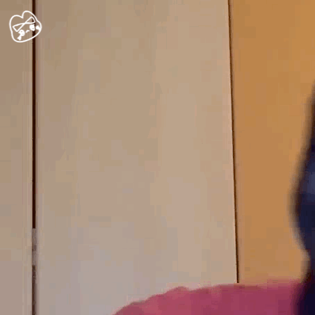 ���������컨��ʲô��˼ ���������컨�����С����˭ �������ͼ