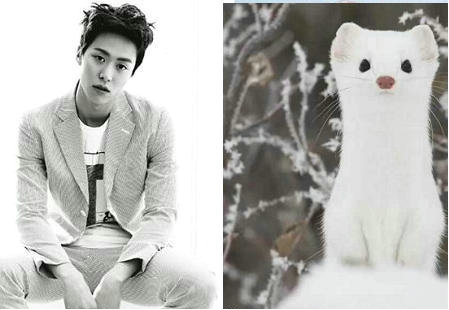 ���ӢΪʲô������ʦ�� ��ѩ���ĶԱ���