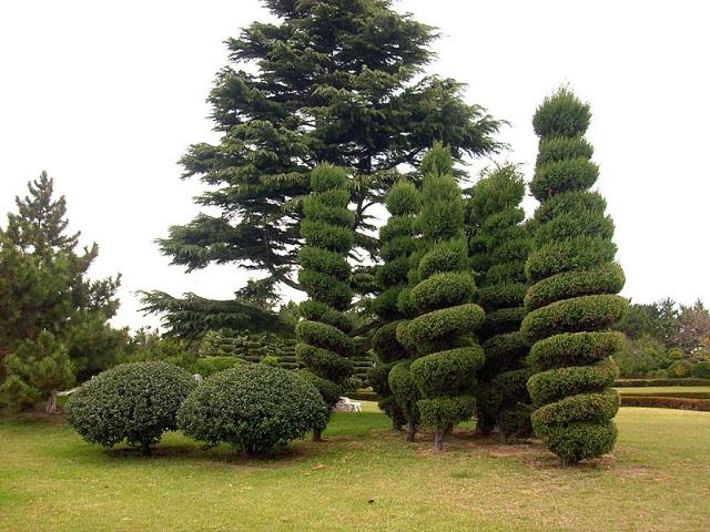 ��ǰ��ʲô��������ˮ ��ǰ�ֻ����ķ�ˮ���ý���