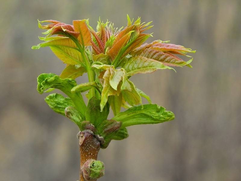 ��ǰ��ʲô��������ˮ ��ǰ�ֻ����ķ�ˮ���ý���