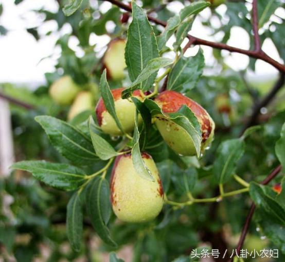 ��ǰ��ʲô��������ˮ ��ǰ�ֻ����ķ�ˮ���ý���