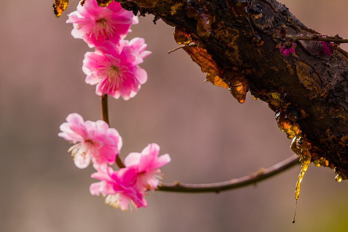 ��ǰ��ʲô��������ˮ ��ǰ�ֻ����ķ�ˮ���ý���