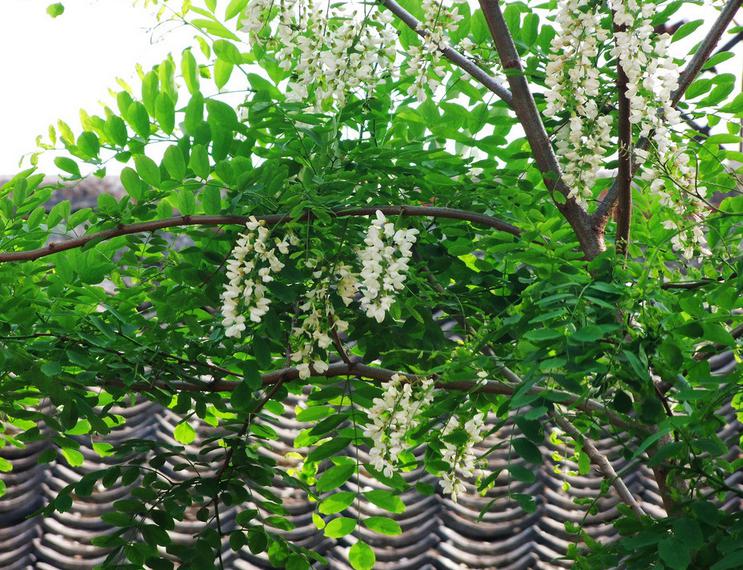 ��ǰ��ʲô��������ˮ ��ǰ�ֻ����ķ�ˮ���ý���