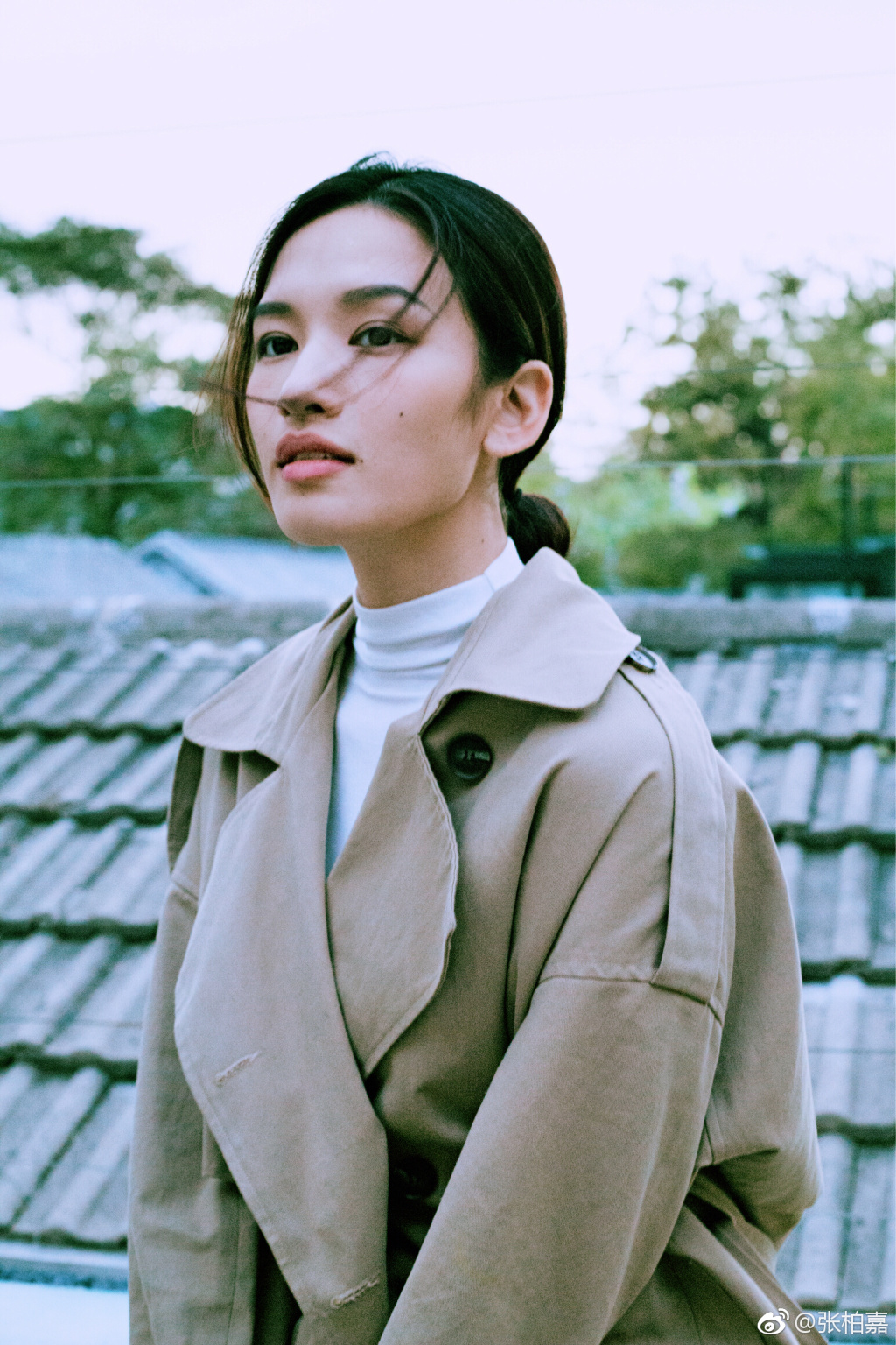 张柏嘉好像是变性人但不是人妖 张柏嘉为什么不火