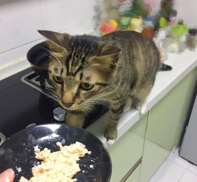 è��ʲôζ��������� ��˵����è�����ô��