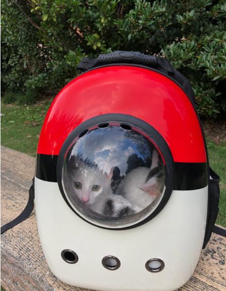 è��ʲôζ��������� ��˵����è�����ô��