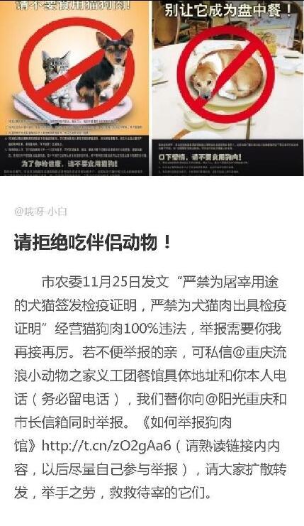 è��ʲôζ��������� ��˵����è�����ô��