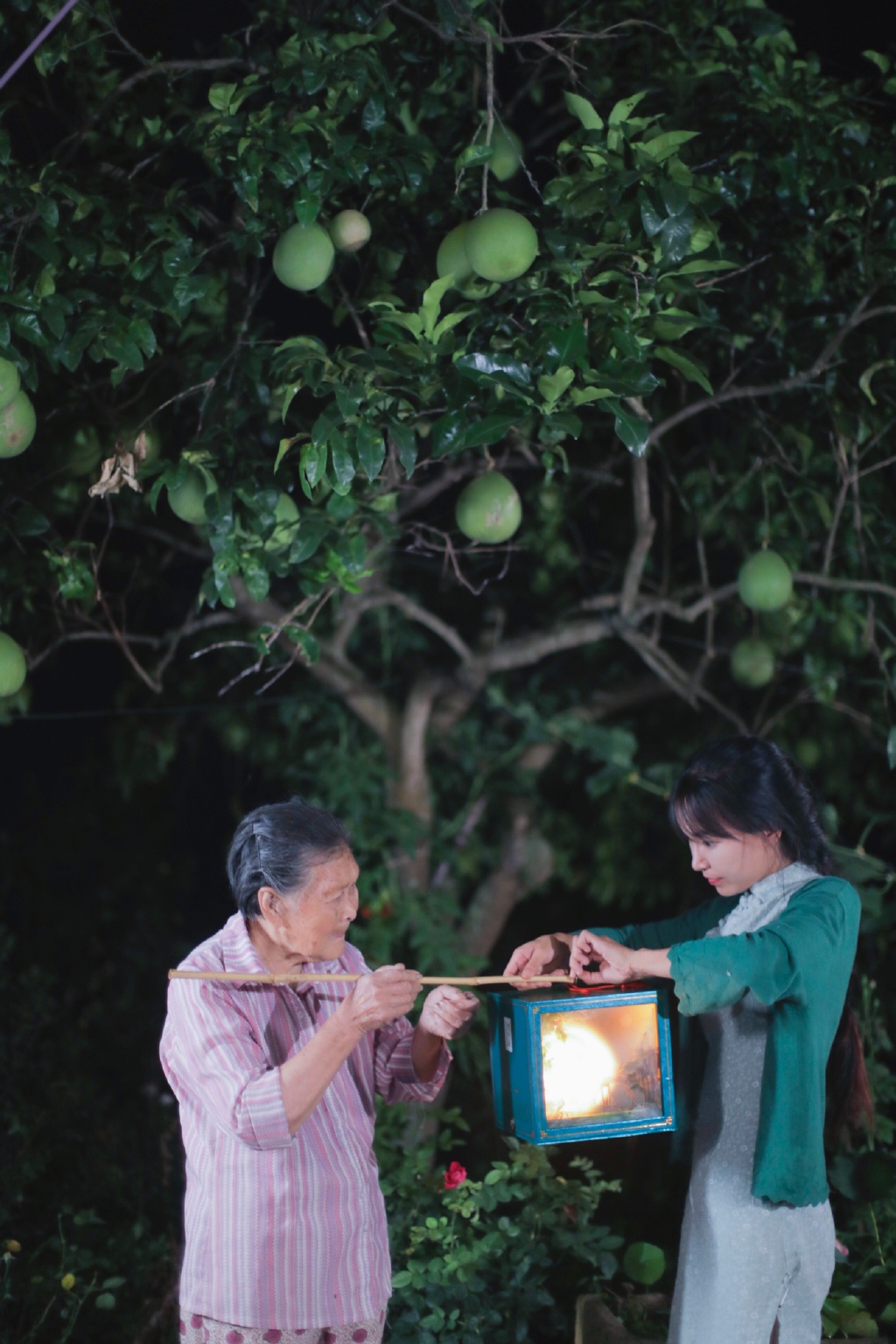 ������ɽ�ϵĶ���������� ���ǲ��Ǳ���װ������