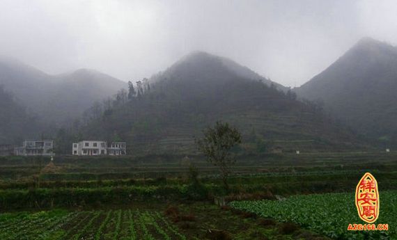 ��ˮ����ͼƬ ���ˮ�����������������