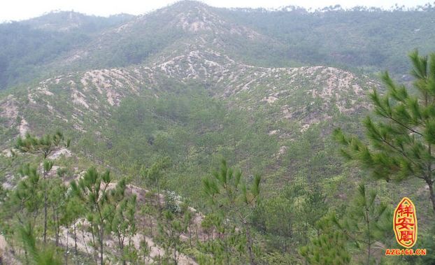 风水宝地图片 葬风水宝地有灵异现象故事