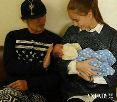 Ҷ�������ܽ��׵�ʲô�� Ҷ�����ǲ����ձ���