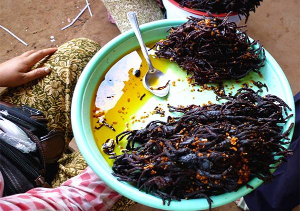 ������ʮ������ĵ�ʳ�� ���û���ܼ�ֿ����ҳ���������һ��