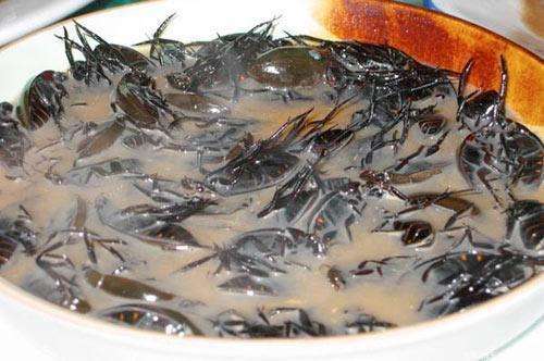 ������ʮ������ĵ�ʳ�� ���û���ܼ�ֿ����ҳ���������һ��