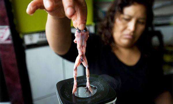 ������ʮ������ĵ�ʳ�� ���û���ܼ�ֿ����ҳ���������һ��