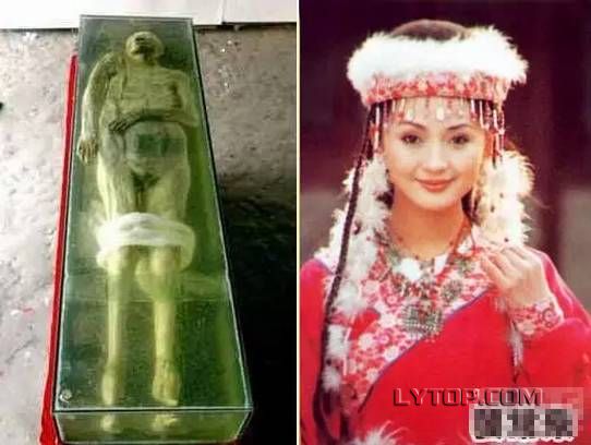 �������н�ʬ���ѧ������ô���͵� ���������ʵ��ʬ�¼�̫����