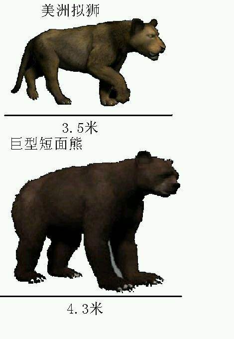 ʷ������ʨ�ӹ⿴�Ǽ��������� �б�ʨ���ж�б�զ���������