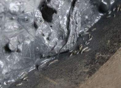 粪水臭豆腐就是用大便做的很难分辨吗 制作过程实拍图片令人发指