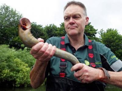 �࿴���ȵ������� ��ͷŴ�ͼƬ�Ѿ������ÿֲ�������������