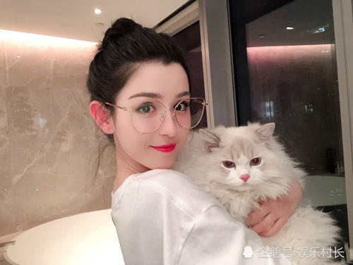 ���ݿ��λ�������Ƶ�ع�������ʲô ��������Ӧ���ݿ����¼�����