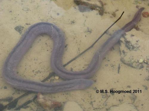 ��������С�ļ�������Ů�����߲��Ҷ࿴ �����ߺÿ�����Ȼ��Ϲ��