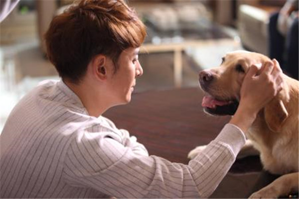 ���������������������Ƭ���� Ϊʲô������ɾһ��������������