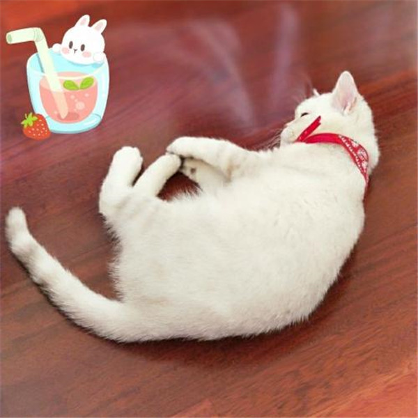 ��˵����������������Ϊʲô�������� ��˵������������������˭