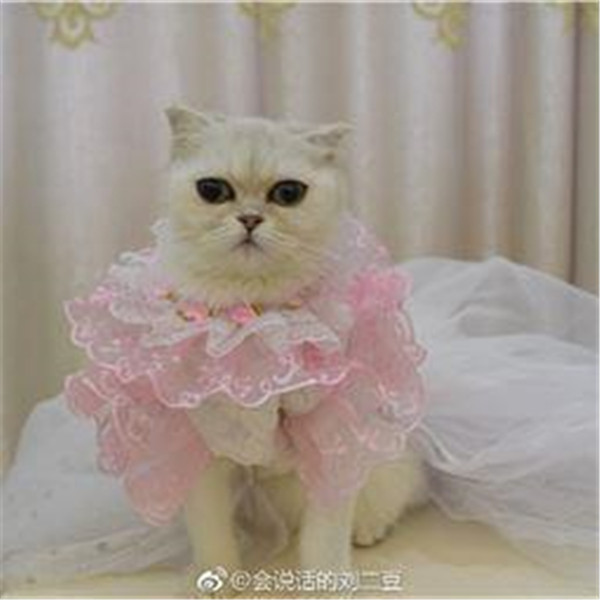 ��˵����������������Ϊʲô�������� ��˵������������������˭