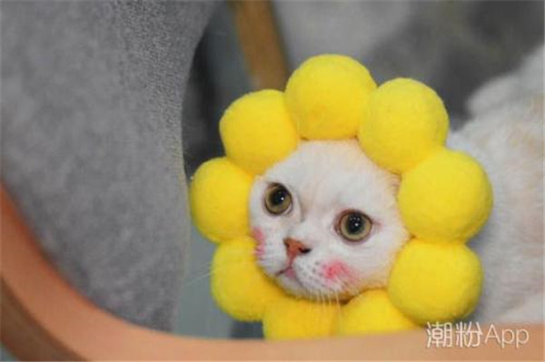 ��˵����������������Ϊʲô�������� ��˵������������������˭