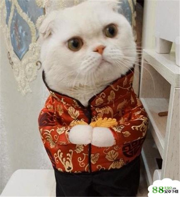 ��˵����������������Ϊʲô�������� ��˵������������������˭